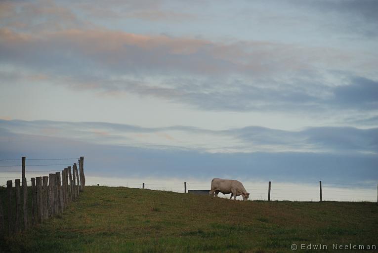 ENE-20110716-0519.jpg - Bannay, La Marne